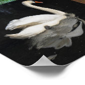 Foto Patchwork - Vögel Poster (Ecke)