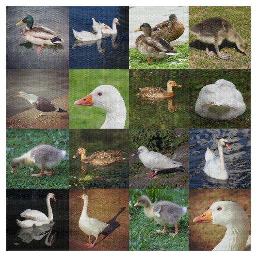Foto Patchwork - Vögel Stoff (Muster)