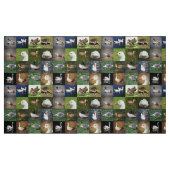 Foto Patchwork - Vögel Stoff (Fat Quarter (45,7 x 55,9 cm))