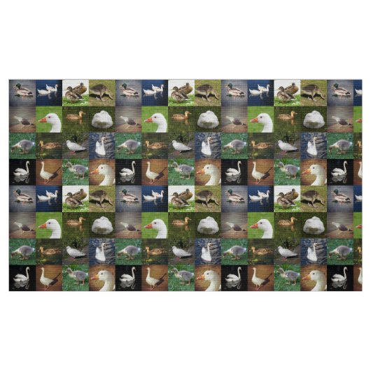 Foto Patchwork - Vögel Stoff (Fat Quarter (45,7 x 55,9 cm))