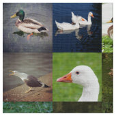 Foto Patchwork - Vögel Stoff (Nahaufnahme)