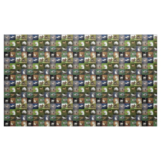 Foto Patchwork - Vögel Stoff (Yard (91,4 cm))