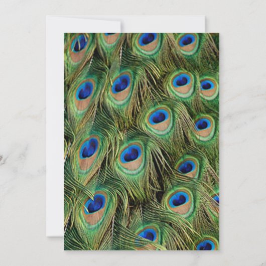 Foto Peacock Abschluss Einladung (Rückseite)