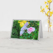 Foto Pellerrosa Kletterpflanzen Rose mit grünem Bl Karte (Gelbe Blume)