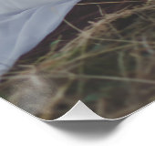 Foto personalisieren Hochzeitsbild Poster (Ecke)