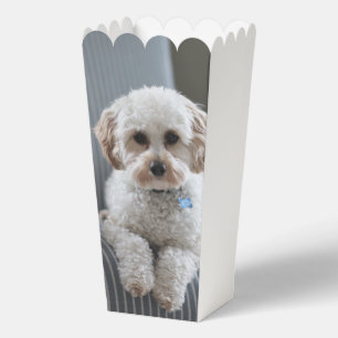 Foto personalisiert maßgeschneidert geschenkschachtel