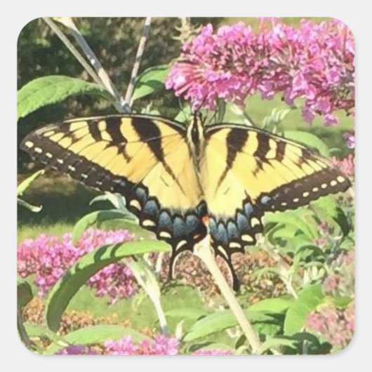 Foto Personalisierte Umschlag Aufkleber hinzufügen (Vorderseite)