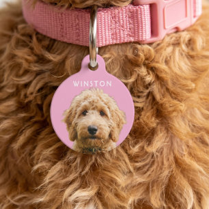 Foto personalisierter Hunde-Name - BESCHREIBUNG LE Haustiermarke