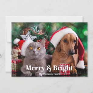 Foto Pet Merry und Bright Feiertagskarte