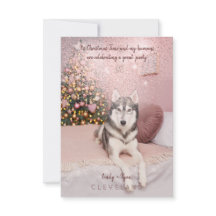 Foto Pet Raffiniertes Weihnachtsfest Party