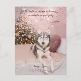 Foto Pet Raffiniertes Weihnachtsfest Party Postkarte