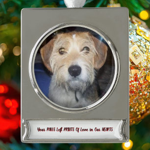 FOTO PFÖTCHEN DER GNADE In Erinnerung behalten Banner-Ornament Silber