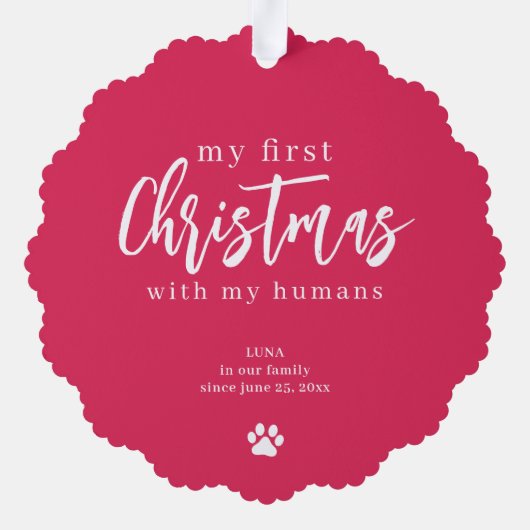 Foto-Pfoten für die erste Weihnachtskatze Ornament Karte (Rückseite)