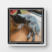 Foto Plaque Black Border HAMbWG Fotoplatte (Vorderseite)