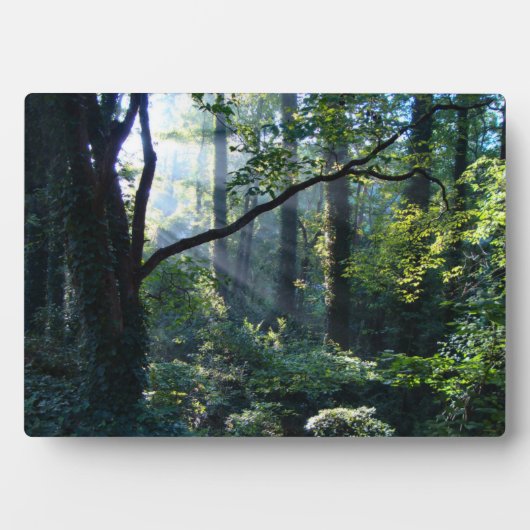 Foto Plaque Fotoplatte (Vorderseite)