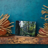 Foto Plaque Fotoplatte (Seite)