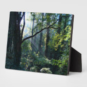 Foto Plaque Fotoplatte (Seite)