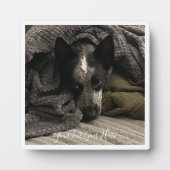 Foto Plaque mit Border and Text HAMbWG Fotoplatte (Vorderseite)