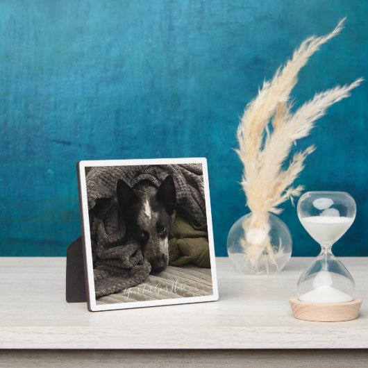 Foto Plaque mit Border and Text HAMbWG Fotoplatte (InSitu)