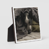 Foto Plaque mit Border and Text HAMbWG Fotoplatte (Vorderseite)