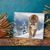 Foto Plaque-Mountain Lion Fotoplatte (Seite)