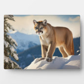 Foto Plaque-Mountain Lion Fotoplatte (Vorderseite)