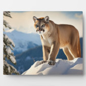 Foto Plaque-Mountain Lion Fotoplatte (Vorderseite)