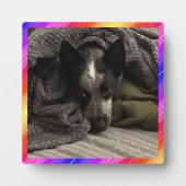 Foto Plaque Neon Border HAMbWG Fotoplatte (Vorderseite)