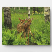 Foto Plaque-Yellowstone Baby Deer Fotoplatte (Vorderseite)