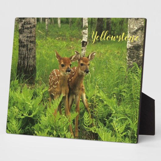 Foto Plaque-Yellowstone Baby Deer Fotoplatte (Seite)