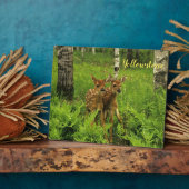Foto Plaque-Yellowstone Baby Deer Fotoplatte (Seite)