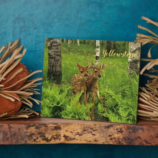 Foto Plaque-Yellowstone Baby Deer Fotoplatte (Seite)