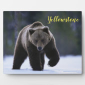 Foto Plaque-Yellowstone-Bär Fotoplatte (Vorderseite)