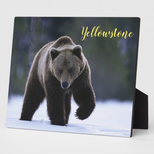 Foto Plaque-Yellowstone-Bär Fotoplatte (Seite)