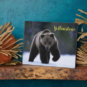 Foto Plaque-Yellowstone-Bär Fotoplatte (Seite)