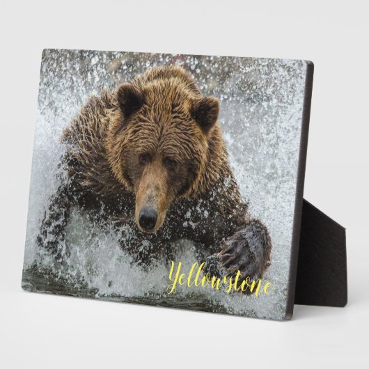 Foto Plaque-Yellowstone Bären Plaque Fotoplatte (Seite)