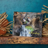 Foto Plaque-Yellowstone Bears Plaque Fotoplatte (Seite)