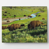 Foto Plaque-Yellowstone Buffalo Fotoplatte (Vorderseite)