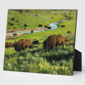 Foto Plaque-Yellowstone Buffalo Fotoplatte (Seite)