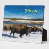 Foto Plaque-Yellowstone Buffalo Fotoplatte (Seite)