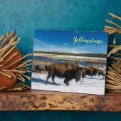 Foto Plaque-Yellowstone Buffalo Fotoplatte (Seite)
