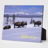 Foto Plaque-Yellowstone Buffalo Fotoplatte (Seite)