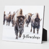 Foto Plaque-Yellowstone Buffalo Fotoplatte (Seite)