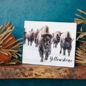 Foto Plaque-Yellowstone Buffalo Fotoplatte (Seite)