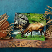 Foto Plaque-Yellowstone-Elch Fotoplatte (Seite)