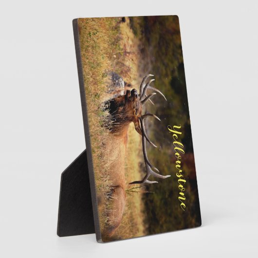 Foto Plaque-Yellowstone-Elch Fotoplatte (Seite)