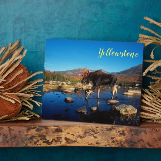 Foto Plaque-Yellowstone Elche Fotoplatte (Seite)