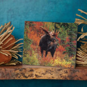 Foto Plaque-Yellowstone Elche Fotoplatte (Seite)