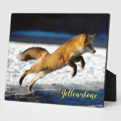 Foto Plaque-Yellowstone Red Fox Fotoplatte (Seite)