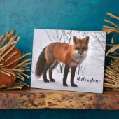 Foto Plaque-Yellowstone Red Fox Fotoplatte (Seite)